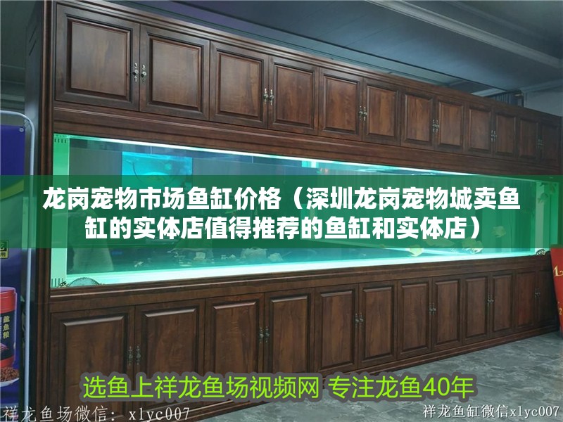 龍崗寵物市場魚缸價格（深圳龍崗寵物城賣魚缸的實體店值得推薦的魚缸和實體店）