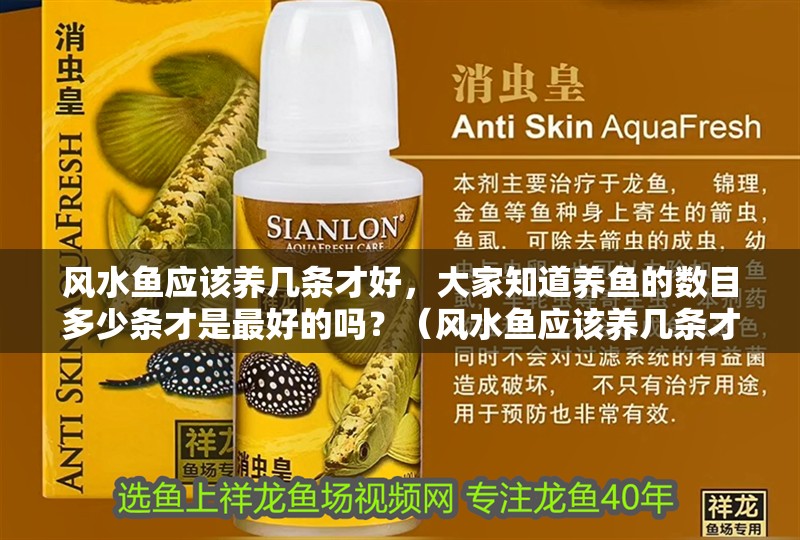 風水魚應該養幾條才好，大家知道養魚的數目多少條才是最好的嗎？（風水魚應該養幾條才好）