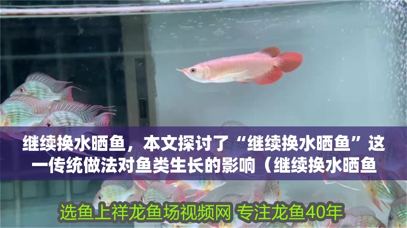繼續換水曬魚，本文探討了“繼續換水曬魚”這一傳統做法對魚類生長的影響（繼續換水曬魚，不敢家外有家）