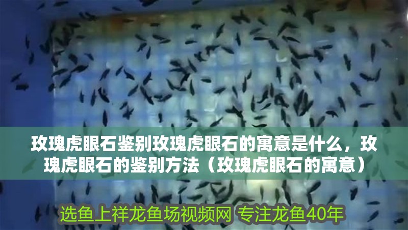 玫瑰虎眼石鑒別玫瑰虎眼石的寓意是什么，玫瑰虎眼石的鑒別方法（玫瑰虎眼石的寓意）