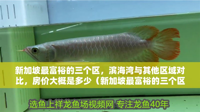 新加坡最富裕的三個區，濱海灣與其他區域對比，房價大概是多少（新加坡最富裕的三個區）