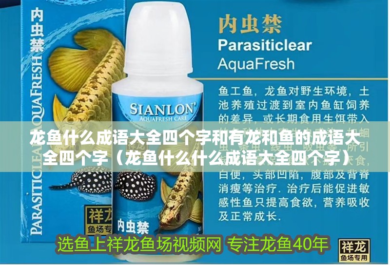 龍魚什么成語大全四個字和有龍和魚的成語大全四個字（龍魚什么什么成語大全四個字）
