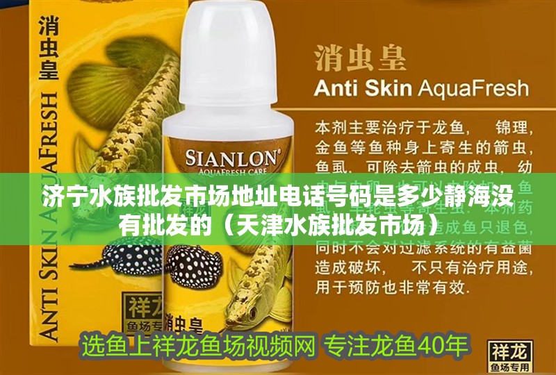 濟寧水族批發市場地址電話號碼是多少靜海沒有批發的（天津水族批發市場）