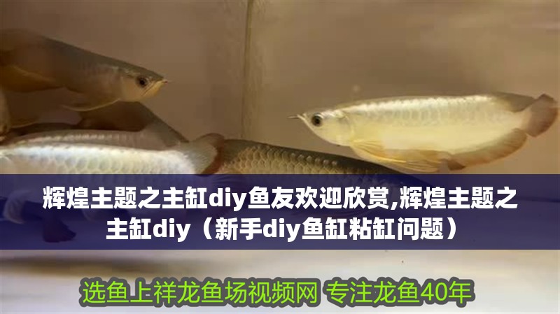 輝煌主題之主缸diy魚友歡迎欣賞,輝煌主題之主缸diy（新手diy魚缸粘缸問題）