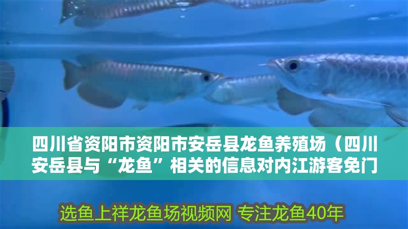 四川省資陽市資陽市安岳縣龍魚養殖場（四川安岳縣與“龍魚”相關的信息對內江游客免門票）