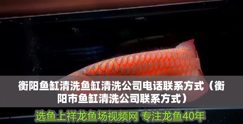 衡陽魚缸清洗魚缸清洗公司電話聯系方式（衡陽市魚缸清洗公司聯系方式）