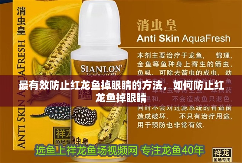 最有效防止紅龍魚掉眼睛的方法，如何防止紅龍魚掉眼睛