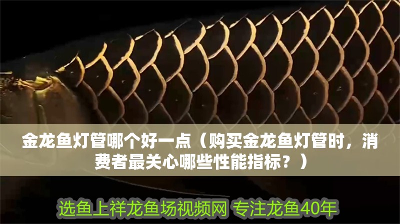 金龍魚燈管哪個好一點（購買金龍魚燈管時，消費者最關心哪些性能指標？）