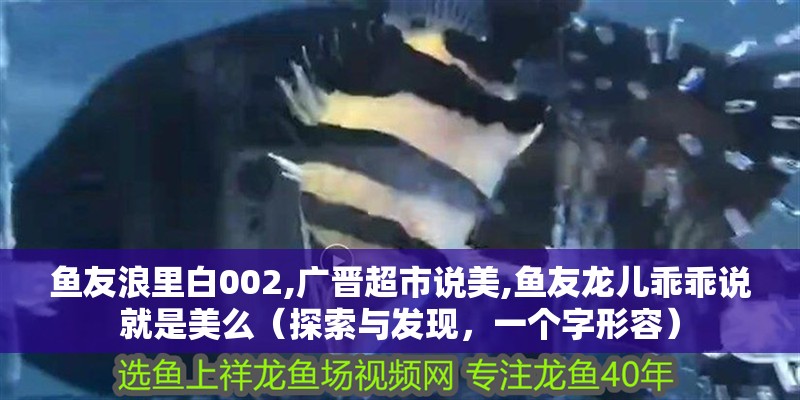 魚友浪里白002,廣晉超市說美,魚友龍兒乖乖說就是美么（探索與發(fā)現(xiàn)，一個字形容）