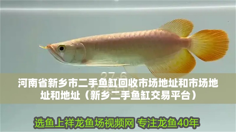 <strong><mark>河南</mark></strong>省新鄉(xiāng)市二手魚缸回收市場地址和市場地址和地址（新鄉(xiāng)二手魚缸交易平臺）
