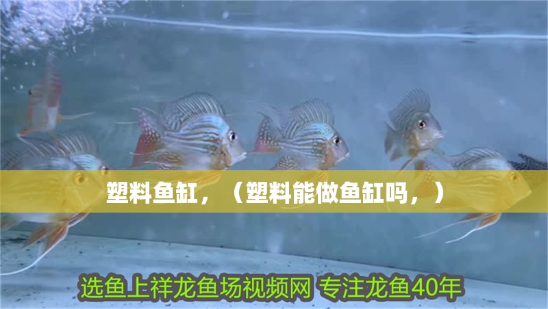 塑料魚缸，（塑料能做魚缸嗎，） 塑料魚缸，（塑料能做魚缸嗎，） 觀賞魚百科