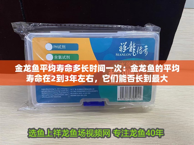 金龍魚平均壽命多長時間一次：金龍魚的平均壽命在2到3年左右，它們能否長到最大