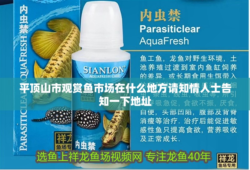 平頂山市觀賞魚市場(chǎng)在什么地方請(qǐng)知情人士告知一下地址