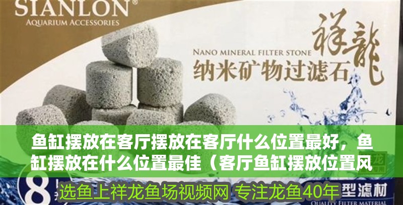 魚缸擺放在客廳擺放在客廳什么位置最好，魚缸擺放在什么位置最佳（客廳魚缸擺放位置風(fēng)水圖片大全） 魚缸擺放在客廳擺放在客廳什么位置最好，魚缸擺放在什么位置最佳（客廳魚缸擺放位置風(fēng)水圖片大全） 觀賞魚百科