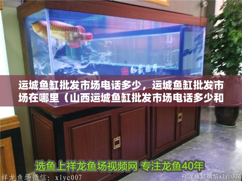 運城魚缸批發(fā)市場電話多少，運城魚缸批發(fā)市場在哪里（山西運城魚缸批發(fā)市場電話多少和運城魚缸批發(fā)市場電話多少）