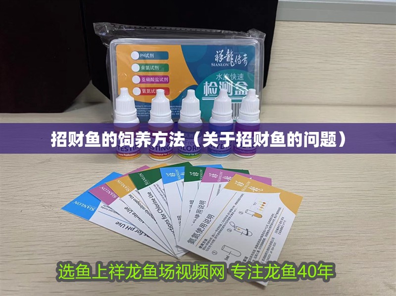 招財魚的飼養方法（關于招財魚的問題）