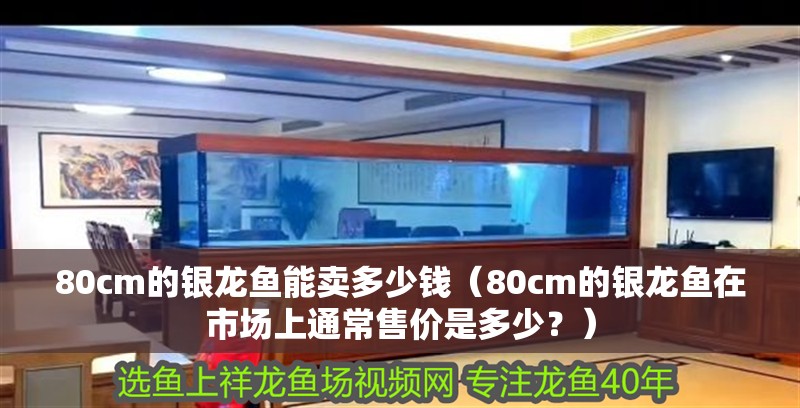 80cm的銀龍魚能賣多少錢（80cm的銀龍魚在市場上通常售價是多少？）