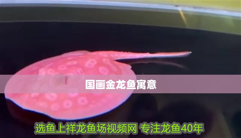 國畫金龍魚寓意