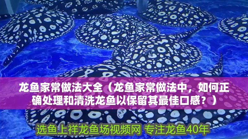龍魚家常做法大全（龍魚家常做法中，如何正確處理和清洗龍魚以保留其最佳口感？）