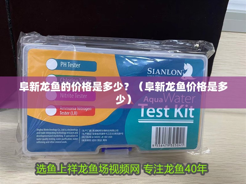 阜新龍魚的價格是多少？（阜新龍魚價格是多少）