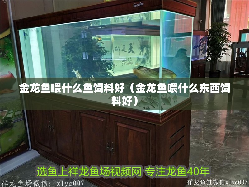 金龍魚喂什么魚飼料好（金龍魚喂什么東西飼料好）