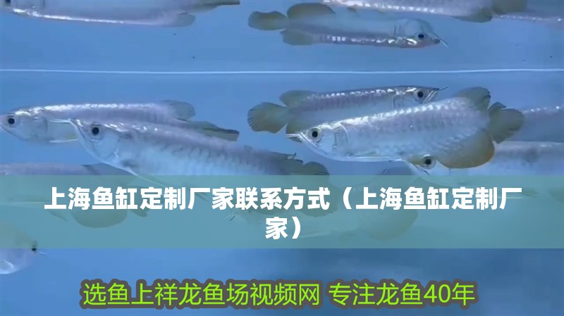 <strong><mark>上海</mark></strong>魚缸定制廠家聯系方式（<strong><mark>上海</mark></strong>魚缸定制廠家）