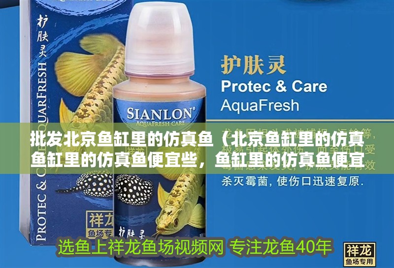 批發(fā)<strong><mark>北京</mark></strong>魚缸里的仿真魚（<strong><mark>北京</mark></strong>魚缸里的仿真魚缸里的仿真魚便宜些，魚缸里的仿真魚便宜些）