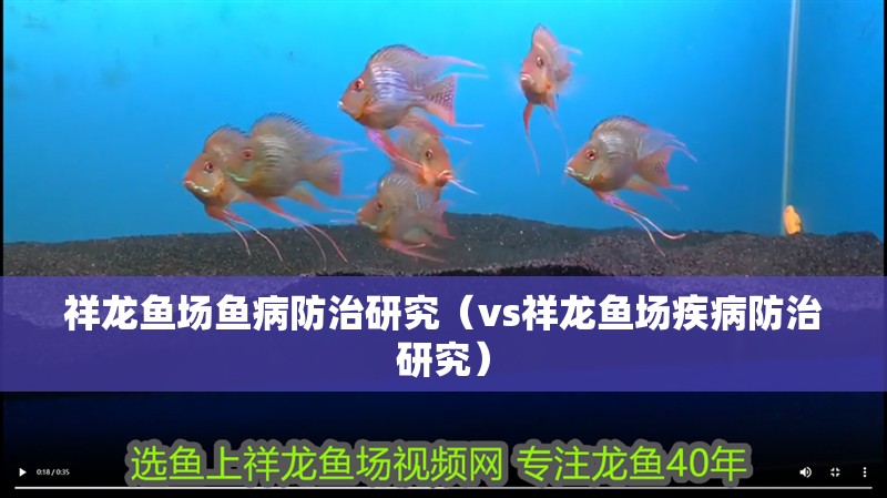 祥龍魚場魚病防治研究（vs祥龍魚場疾病防治研究）
