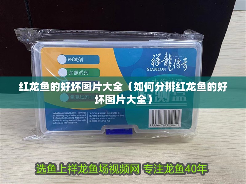 紅龍魚的好壞圖片大全（如何分辨紅龍魚的好壞圖片大全）