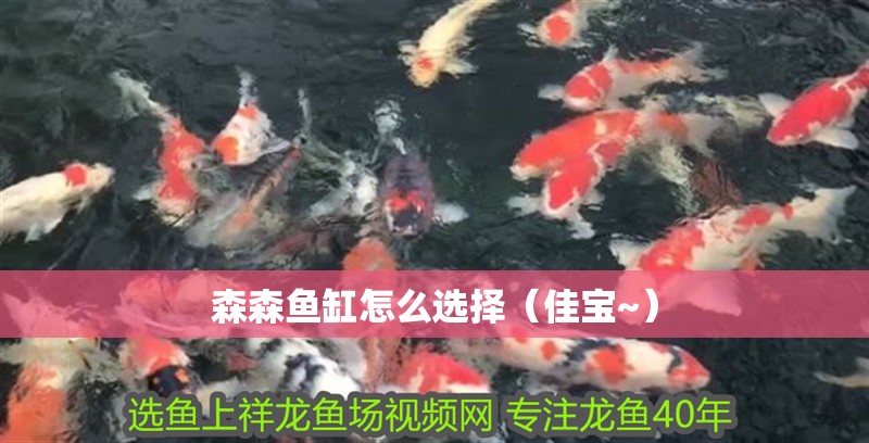 森森魚缸怎么選擇（佳寶~）