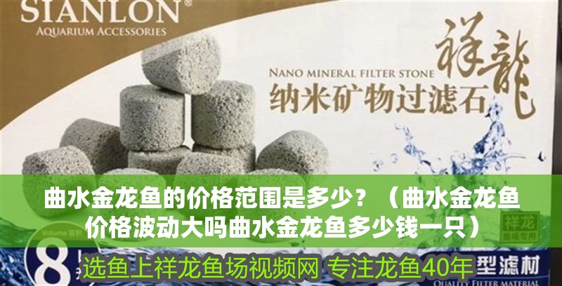 曲水金龍魚的價格范圍是多少？（曲水金龍魚價格波動大嗎曲水金龍魚多少錢一只）