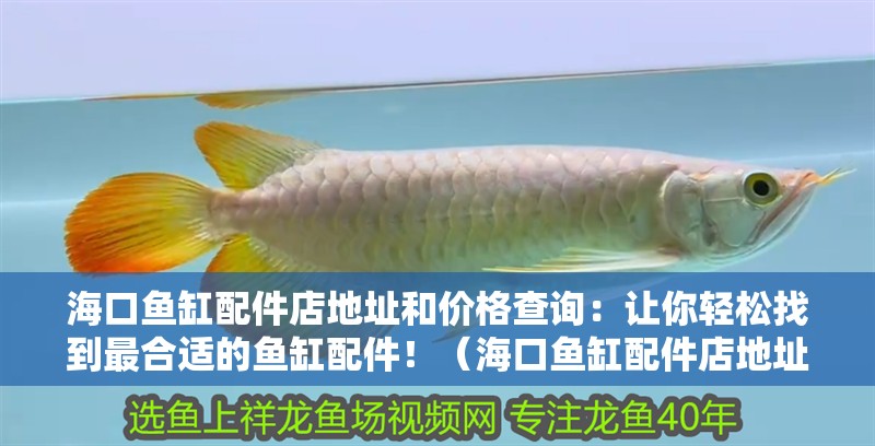海口魚缸配件店地址和價(jià)格查詢：讓你輕松找到最合適的魚缸配件！（海口魚缸配件店地址和價(jià)格查詢）