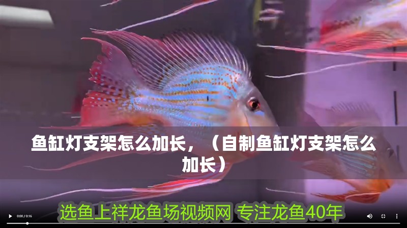 魚缸燈支架怎么加長，（自制魚缸燈支架怎么加長）