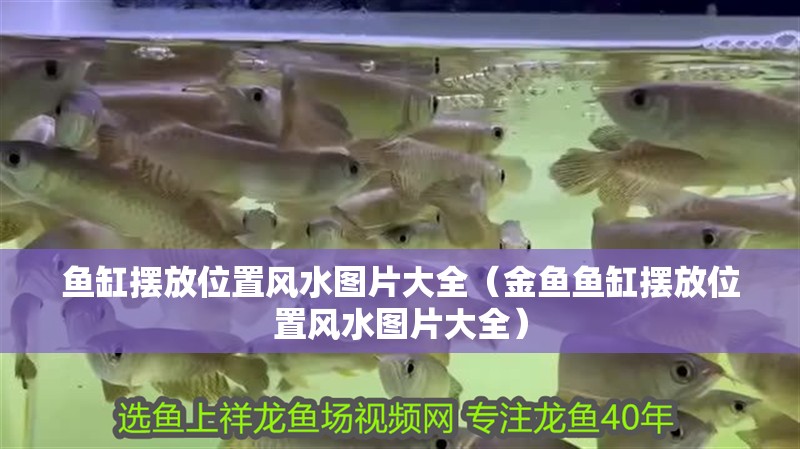 魚缸擺放位置風水圖片大全（金魚魚缸擺放位置風水圖片大全）