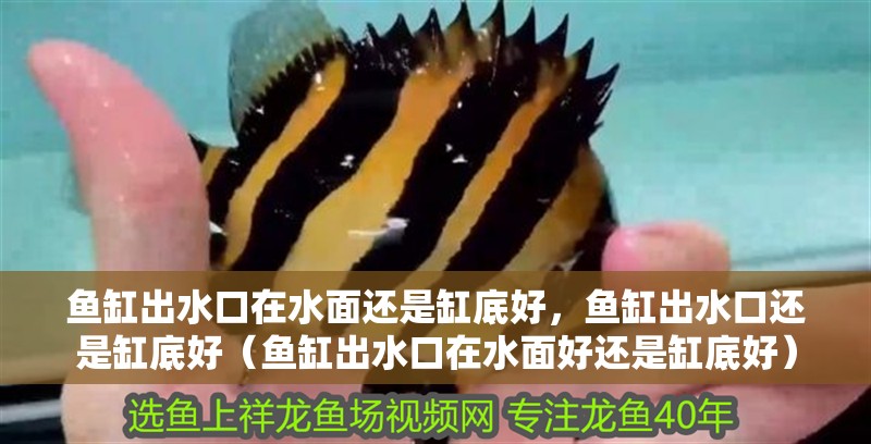 魚缸出水口在水面還是缸底好，魚缸出水口還是缸底好（魚缸出水口在水面好還是缸底好）