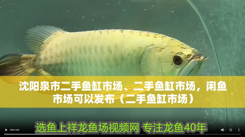沈陽泉市二手魚缸市場、二手魚缸市場，閑魚市場可以發布（二手魚缸市場）