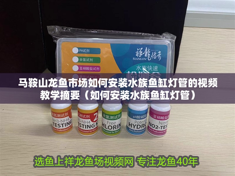馬鞍山龍魚市場如何安裝水族魚缸燈管的視頻教學摘要（如何安裝水族魚缸燈管）