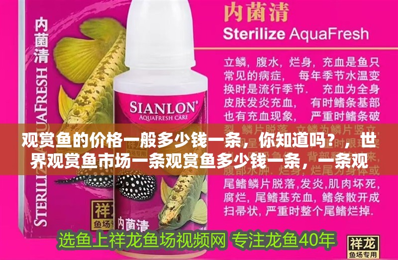 觀賞魚的價格一般多少錢一條，你知道嗎？，世界觀賞魚市場一條觀賞魚多少錢一條，一條觀賞魚多少錢一條