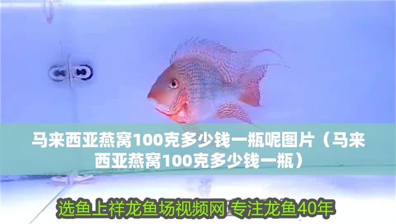 馬來西亞燕窩100克多少錢一瓶呢圖片（馬來西亞燕窩100克多少錢一瓶）