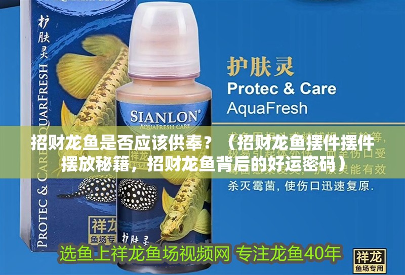 招財龍魚是否應(yīng)該供奉？（招財龍魚擺件擺件擺放秘籍，招財龍魚背后的好運密碼）