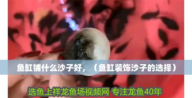 魚缸鋪什么沙子好，（魚缸裝飾沙子的選擇）