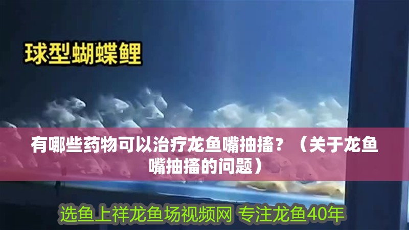 有哪些藥物可以治療龍魚嘴抽搐？（關于龍魚嘴抽搐的問題）
