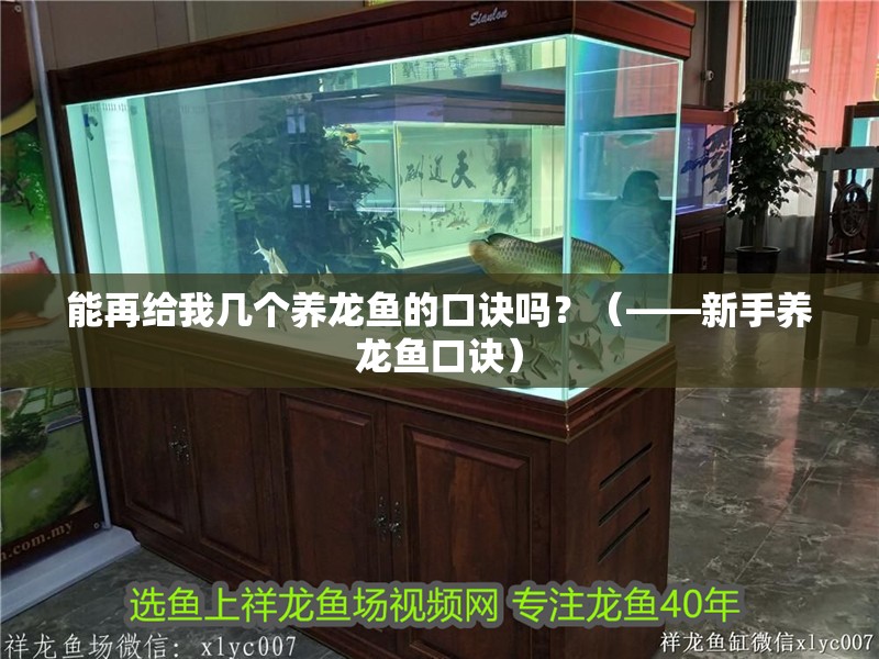能再給我?guī)讉€養(yǎng)龍魚的口訣嗎？（——新手養(yǎng)龍魚口訣）