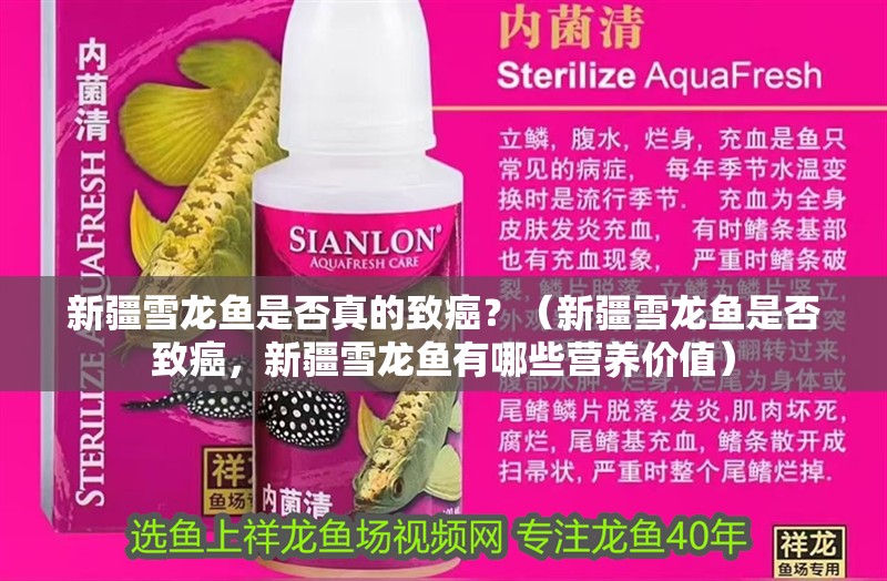 新疆雪龍魚是否真的致癌？（新疆雪龍魚是否致癌，新疆雪龍魚有哪些營養價值）