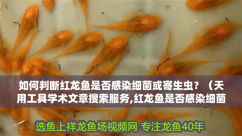 如何判斷紅龍魚是否感染細菌或寄生蟲？（天用工具學術文章搜索服務,紅龍魚是否感染細菌或寄生蟲） 如何判斷紅龍魚是否感染細菌或寄生蟲？（天用工具學術文章搜索服務,紅龍魚是否感染細菌或寄生蟲） 龍魚百科 第6張