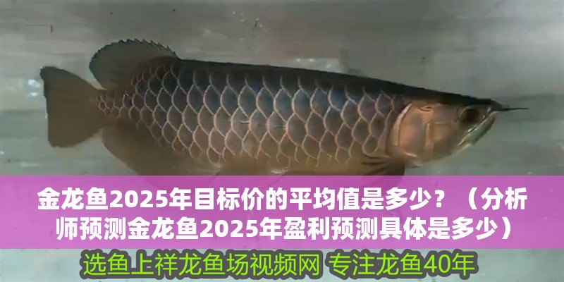 金龍魚2025年目標價的平均值是多少？（分析師預測金龍魚2025年盈利預測具體是多少）