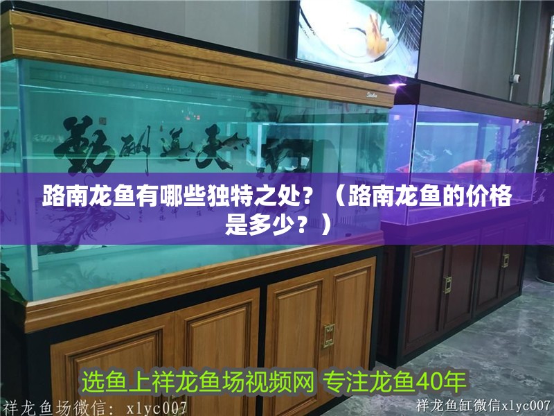 路南龍魚(yú)有哪些獨(dú)特之處？（路南龍魚(yú)的價(jià)格是多少？）