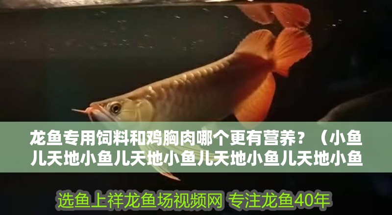 龍魚專用飼料和雞胸肉哪個(gè)更有營(yíng)養(yǎng)？（小魚兒天地小魚兒天地小魚兒天地小魚兒天地小魚兒天地）