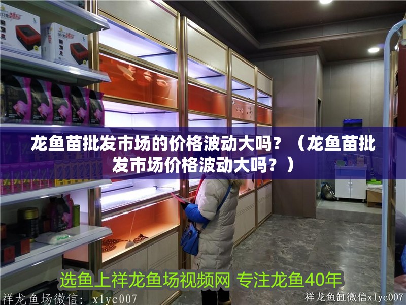 龍魚苗批發市場的價格波動大嗎？（龍魚苗批發市場價格波動大嗎？）