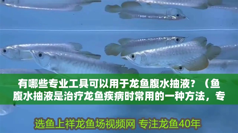 有哪些專業(yè)工具可以用于龍魚腹水抽液？（魚腹水抽液是治療龍魚疾病時常用的一種方法，專業(yè)工具抽取腹水）